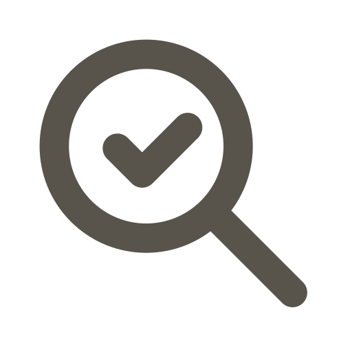 Search and inspection icon